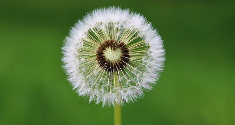 Wat is jouw wens voor Erp, Keldonk of Boerdonk?